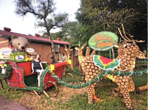 Freiwilligenjahr in Argentinien